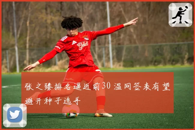 张之臻排名逼近前30 温网签表有望避开种子选手