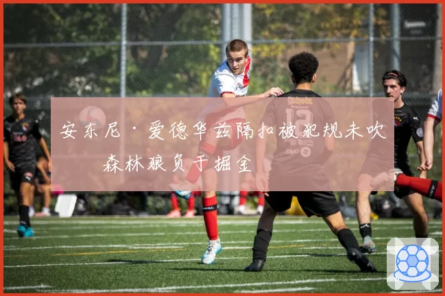 安东尼·爱德华兹隔扣被犯规未吹，森林狼负于掘金