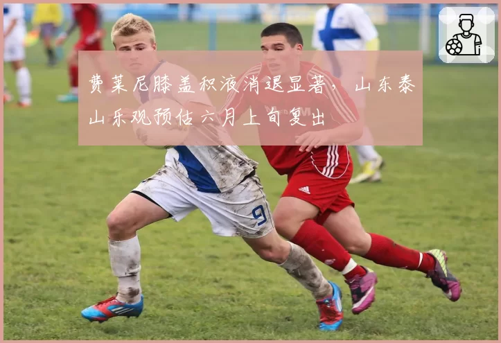 费莱尼膝盖积液消退显著，山东泰山乐观预估六月上旬复出