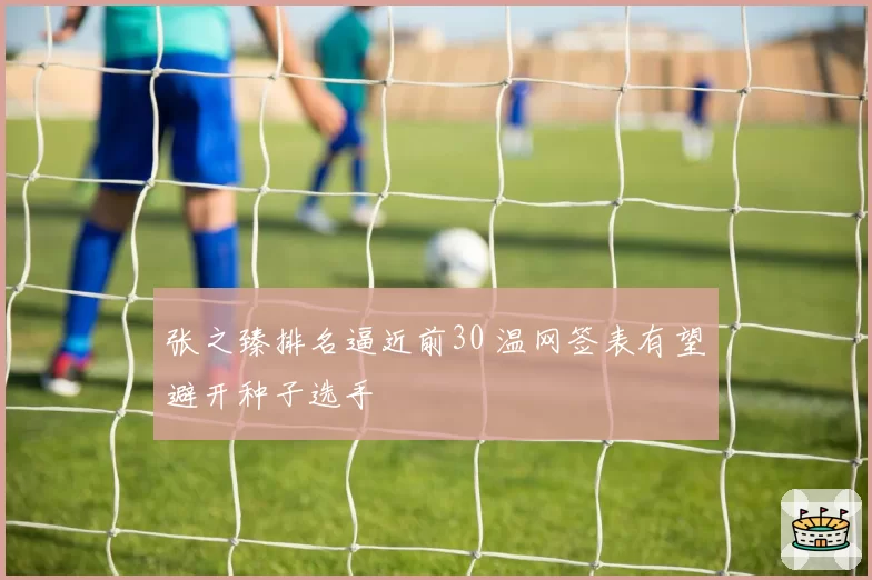 张之臻排名逼近前30 温网签表有望避开种子选手