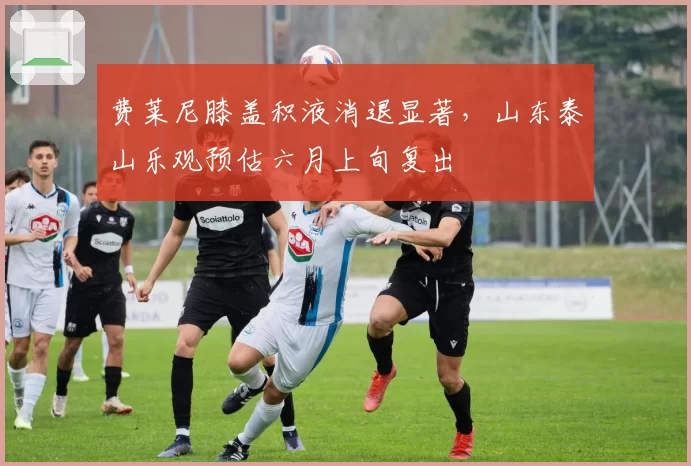 费莱尼膝盖积液消退显著，山东泰山乐观预估六月上旬复出